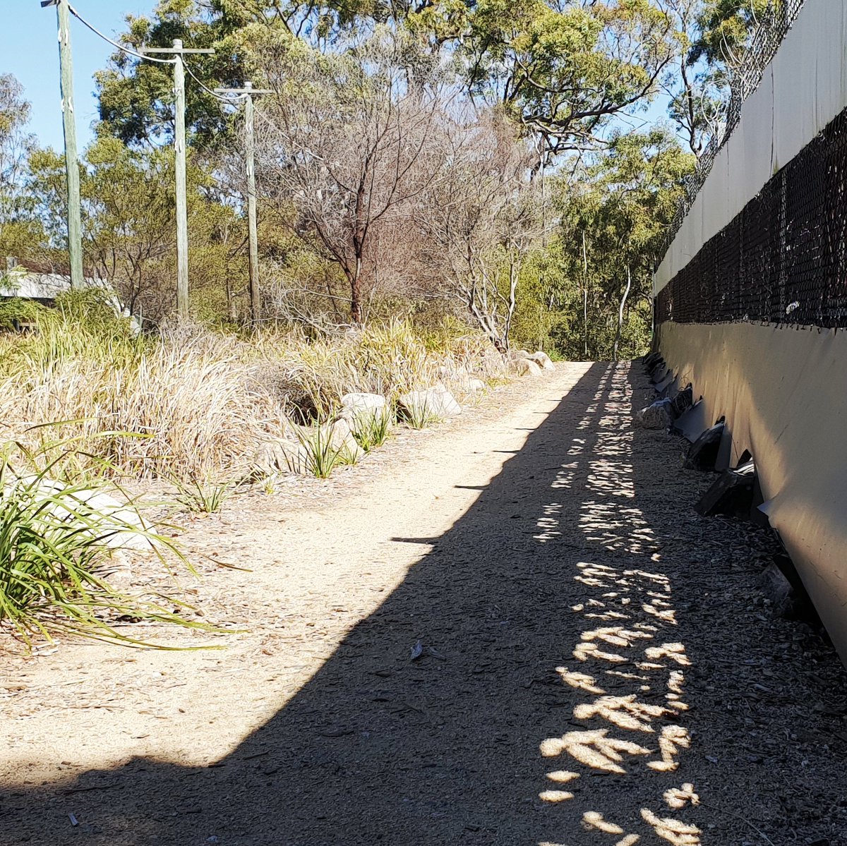 leesawatego's tweet photo. I've driven over this overpass on Hamilton Road hundreds of times over the years, & today I walked over it for the first time. I had no idea it would be a bush path. #FatAdventurers #HAES #52Hikes #Brisbane https://t.co/OrSG6PSWcS
