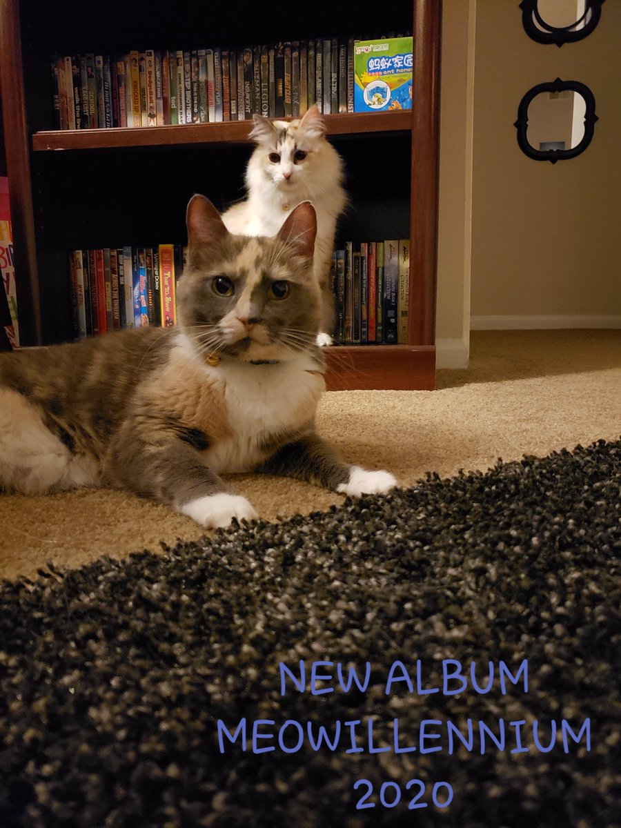 weimeows's tweet photo. 2.30.20
#BSB #BackstreetBoys @backstreetboys are out hero and inspiration 😍
Tracks include:
Larger than food
Show me the meaning of being hungry 
I want it meow way
Don't want meow back
Back to your catnap 
#CatsOnTwitter #Meow https://t.co/kuWwrw3hL2