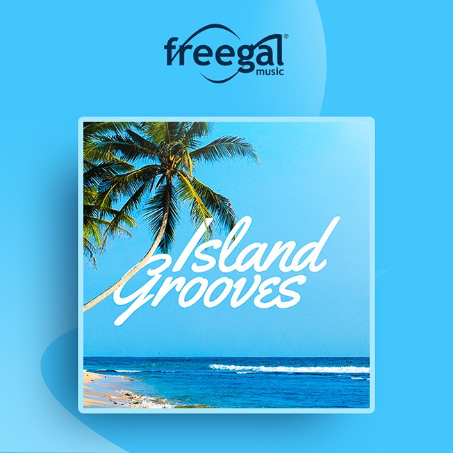 a photograph of a large palm tree on the beach with the ocean in the background