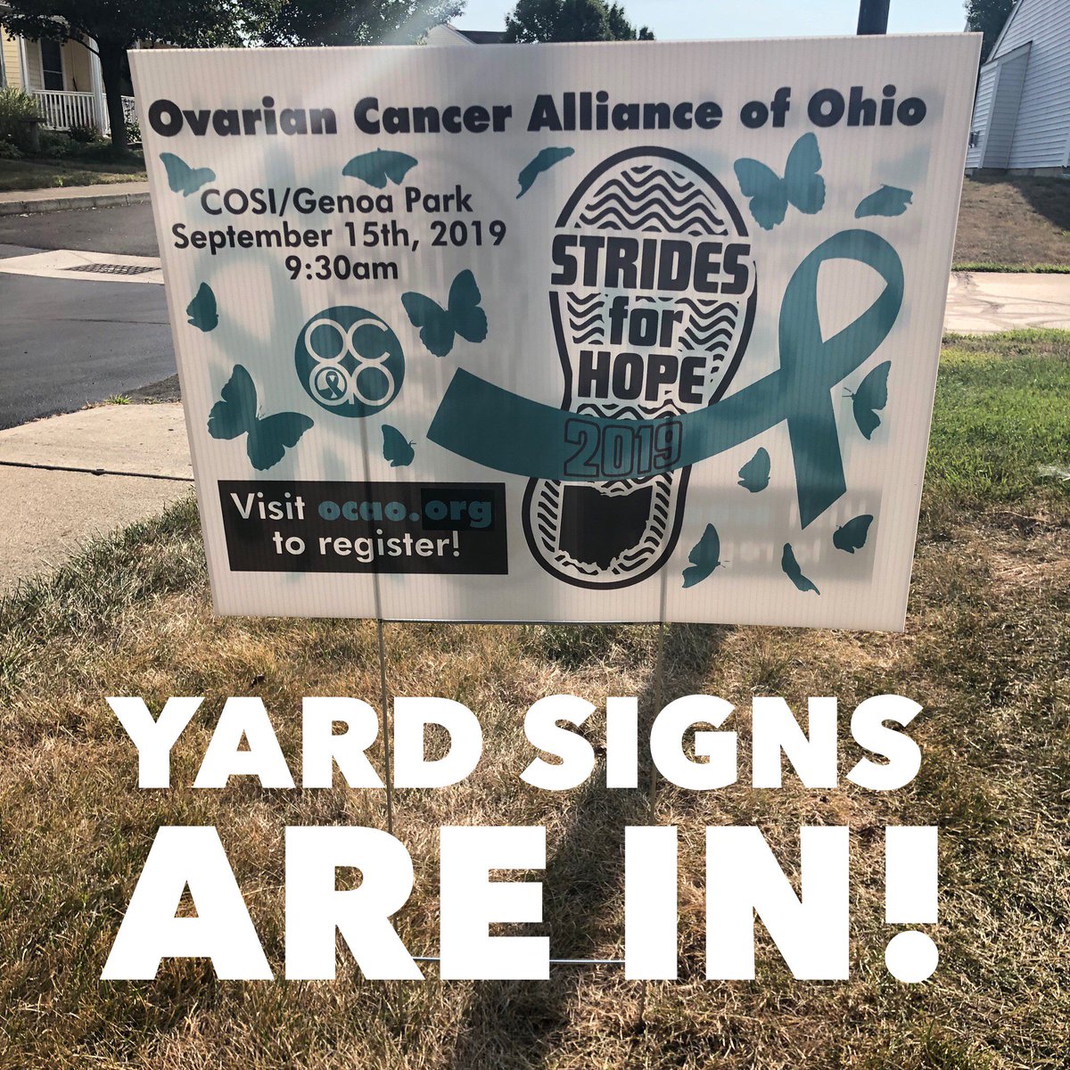 OCAOhio's tweet photo. Did you miss your chance to get yard signs? You’ll have another chance tomorrow, Saturday from 10am to 1pm. Stop by our office and pick up your yard signs! 4900 Reed Road suite 331 Columbus 43220 https://t.co/GXChvO4u9a