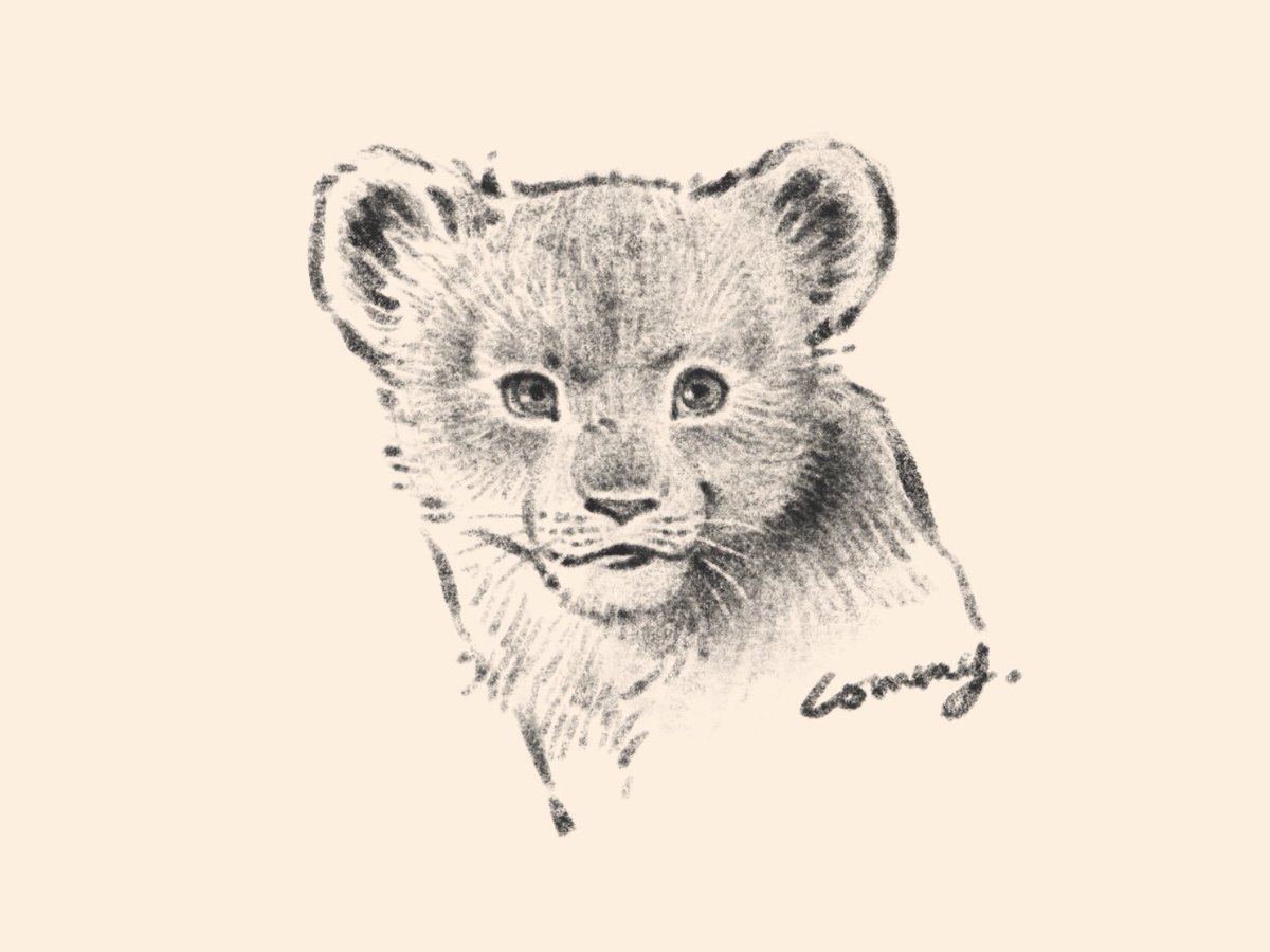 Lommy福岡パルコ5 15 5 30可愛い嘘のカワウソ V Twitter 僕は勇敢なライオンなんだぞ っていきってるシンバ ライオンキング実写版