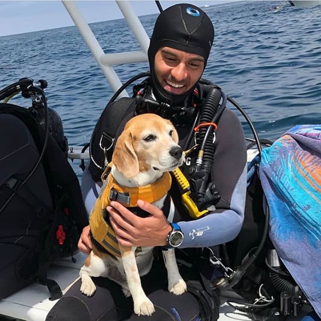 MarissaCharters's tweet photo. Captain out here just being Majestic AF. 
Happy Friday! Can't wait to dive with you all this weekend!
#repost guiruggiero
Finally found my diving buddy! 🐕‍🦺🤿 .
.
.
#TheMarissa #Marissacharters #sandiegoscubadiving 
#scubadivingsandiego #diveshop #scubadiving #scuba 
#scubadivesh https://t.co/7ImBelEUcQ