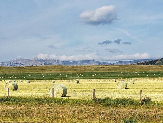clasicmac's tweet photo. Made it back home and stopped to take a pic.
#vacactionmodeover #sad #prairieviews #ABviews #roadtrip #Clasicmac https://t.co/qHGetEtqII https://t.co/DI7U3HQ5Dh