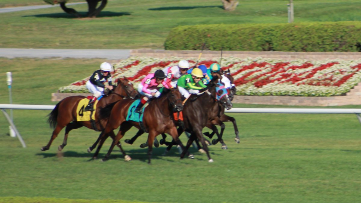 PhippsStableFan's tweet photo. WINNER! Masterful ride by @jose93_ortiz who took #StuartJanney & #PhippsStable's 3yo filly #PASSINGOUT (#Orb-Party Now) up the rail with a strong closing run to earn her first allowance win.
REPLAY: https://t.co/7Vqzzx7uUV https://t.co/1xC46klT4P