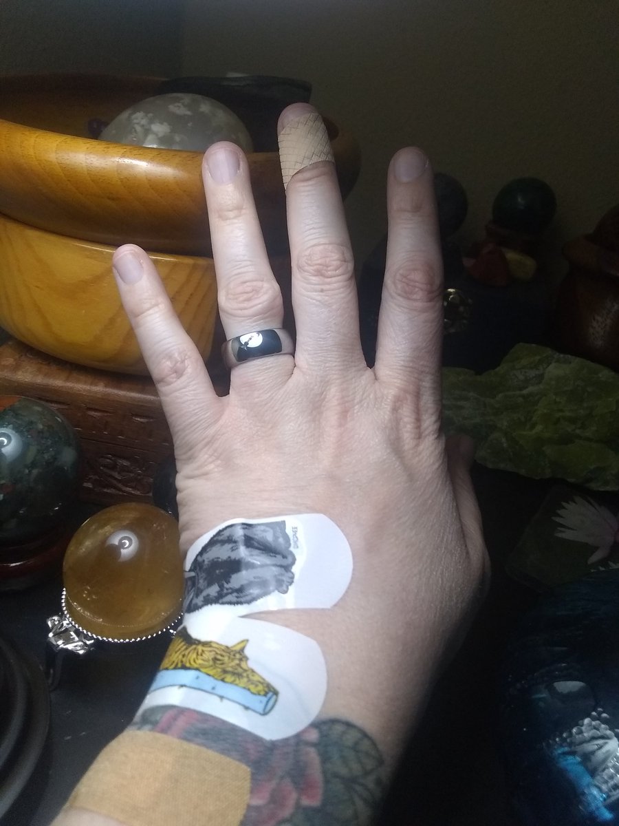 Brick_MoJo's tweet image. When you have to brush your formerly feral cat.... Sigh... I can't make this stuff up... 🤪

@ArchieMcPhee 's Crazy Cat Lady Band-Aids to help patch up the Carnage. 🤣 #Irony #CatLadyProblems #PleaseNoAntibiotics