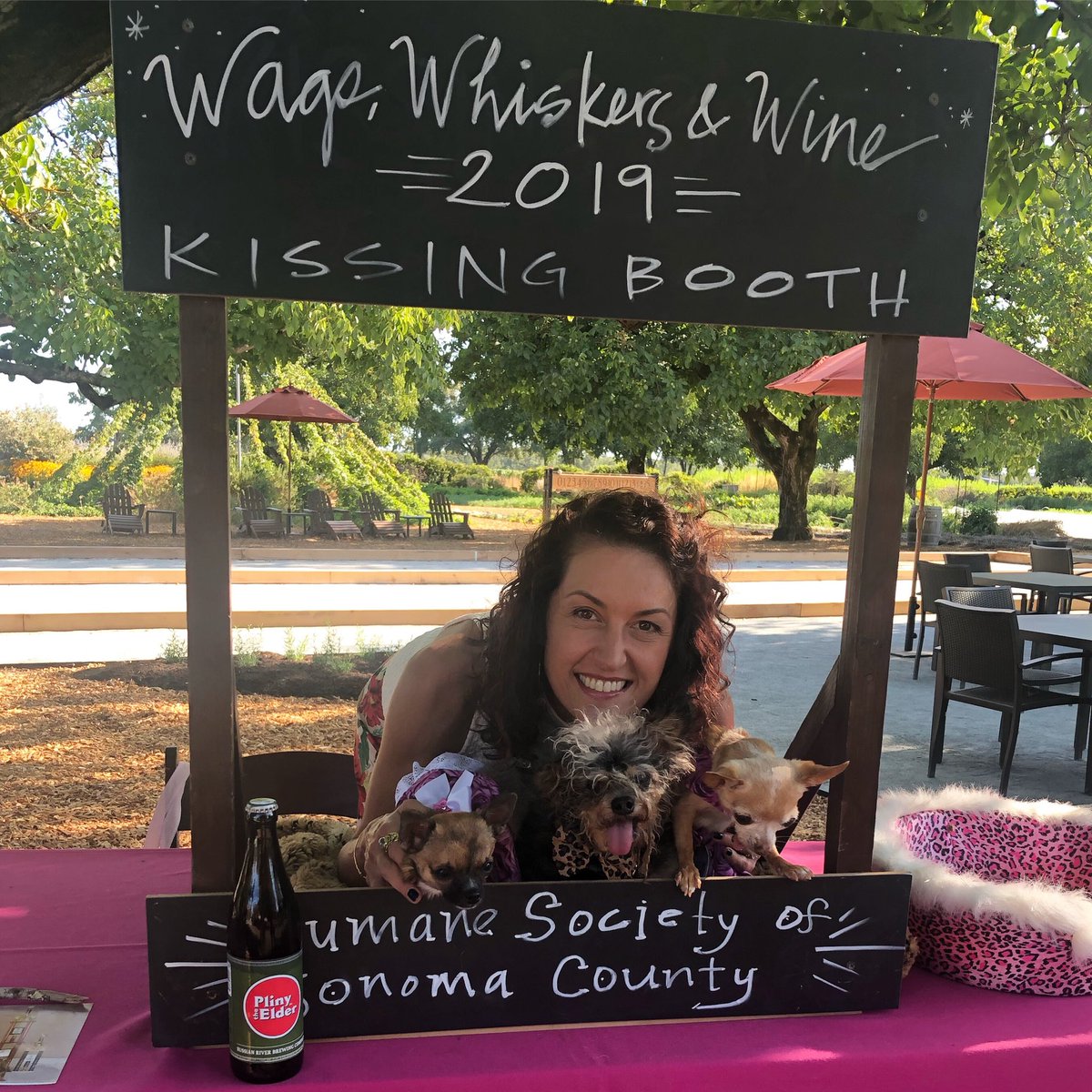 At our favorite event of the year raising money for the Sonoma County Humane Society!  My annual kissing booth photo is with local celebrity pooch, Scamp, #worldsugliestdog2019 !  He looks pretty cute to me!  #wagswhiskersandwine2019 @humanesocietysoco #puppiesandpliny