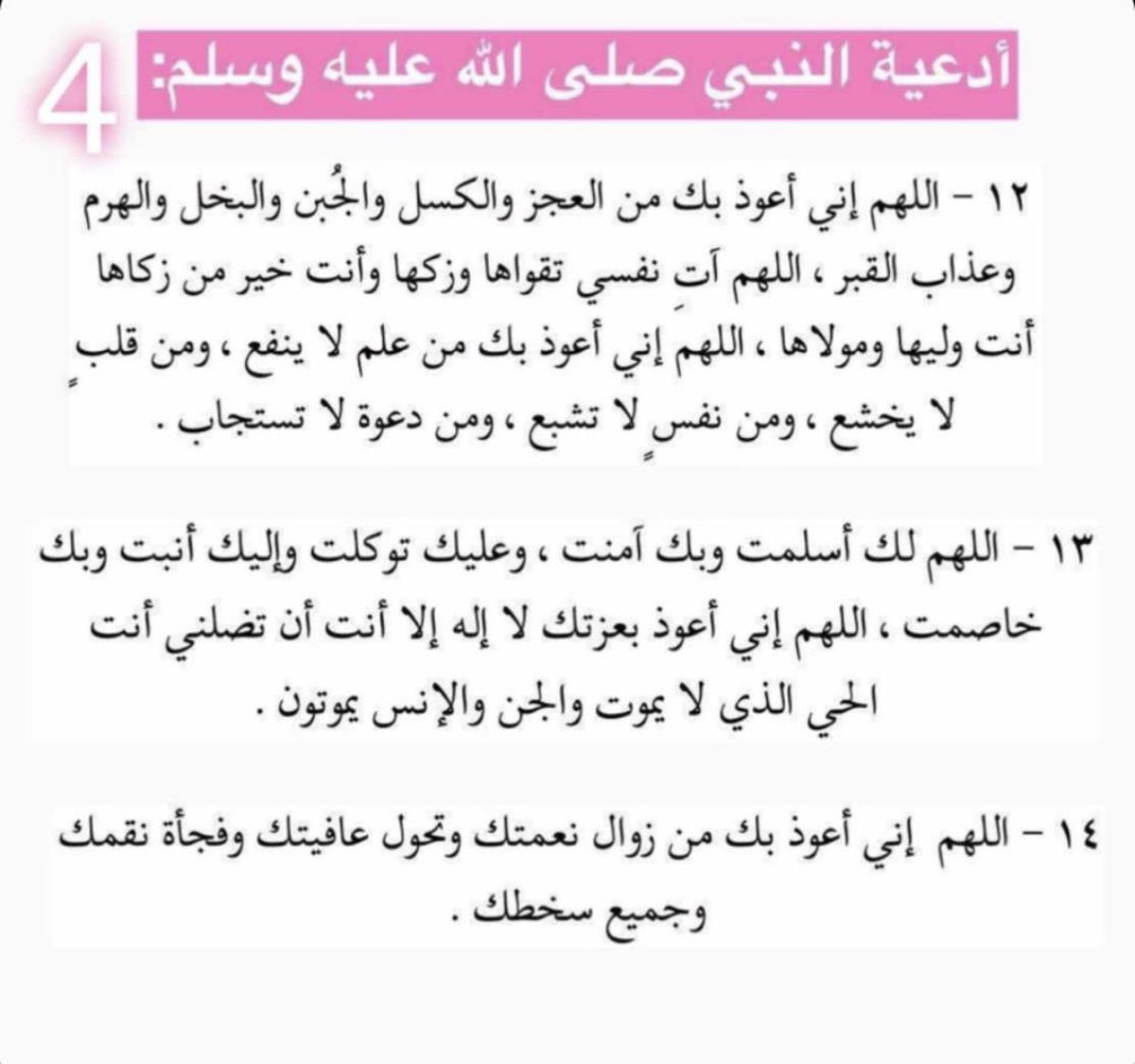 Lavender_20's tweet photo. #يوم_عرفه2019 في صباح عرفة، أرسلوا أمانيكم، و دعواتكم، وأبشروا بأجرٍ عظيم، وربٍ كريم يسمع الدعـاء ويفتح أبواب السمـاء🌿 https://t.co/StiwvQ65Yz