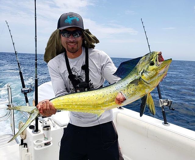 OFishermansLife's tweet photo. Picture almost looks fake but it ain't! First of a few Dorado aka Mahi Mahi on today's trip. Fun time fishing with @magbaylodge. Such a cool fish. 
#fishermanslife #dorado #magbaylodge #magbaylures @magbaylures #bajacaliforniasur #tunafishing #tuna #skipjack #floridafishing … https://t.co/90tIE7uV0s