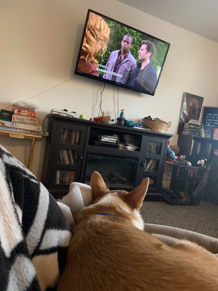 chaedesis's tweet image. Ziva is watching @Psych_USA for the first time. @JamesRoday @DuleHill 
#psych