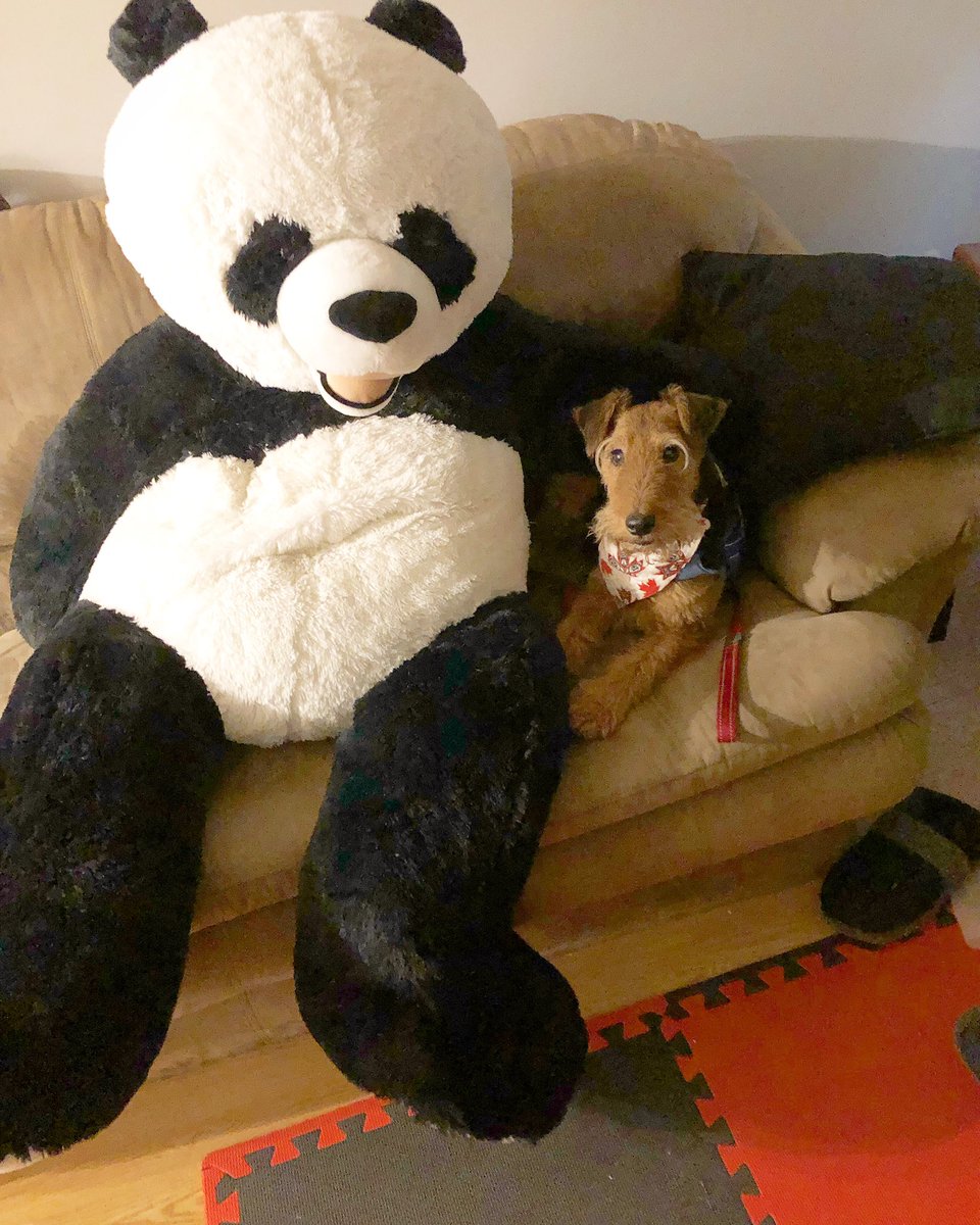 daigneault1212's tweet image. Thunder buddies! #Saskatchewanstorm #Thunderstorms #thunderbuddy