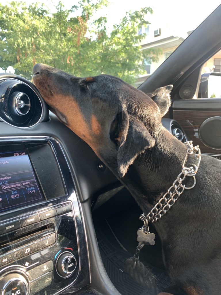 CongressLowered's tweet image. lil slut