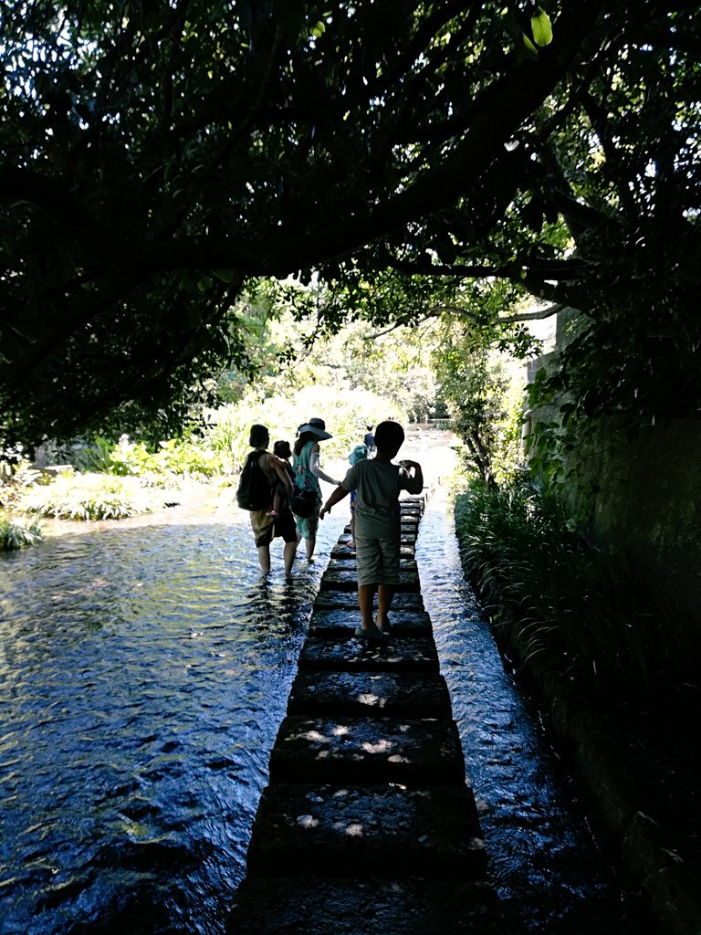 とっても暑いので我が町の涼しげな川の写真を… 