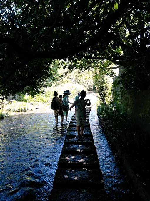 とっても暑いので我が町の涼しげな川の写真を… 
