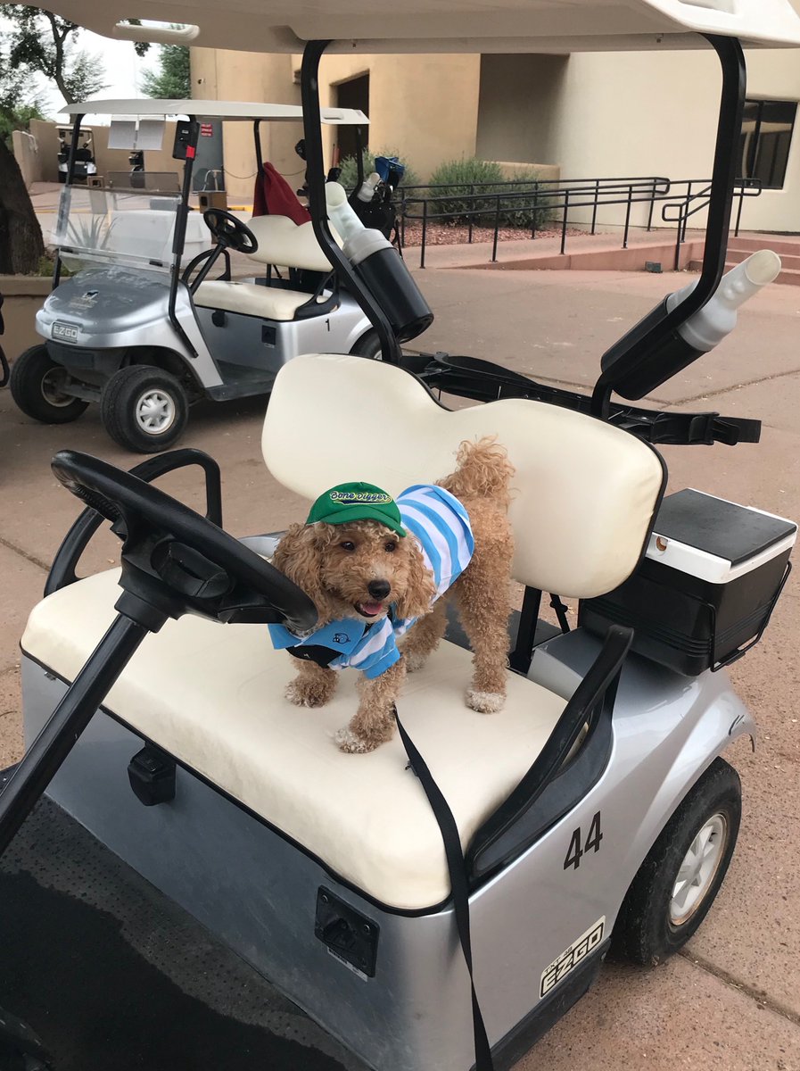 MAC_Packaging's tweet photo. As we battle through the dog days of summer, enjoy your weekend, and remember MAC Packaging for all of your Mil-Spec and commercial packaging needs.
#TopDogsofpackaging #MilSpec #commercialpackaging #milstd129
https://t.co/i6AevDSASJ https://t.co/Zr45ykgLEJ