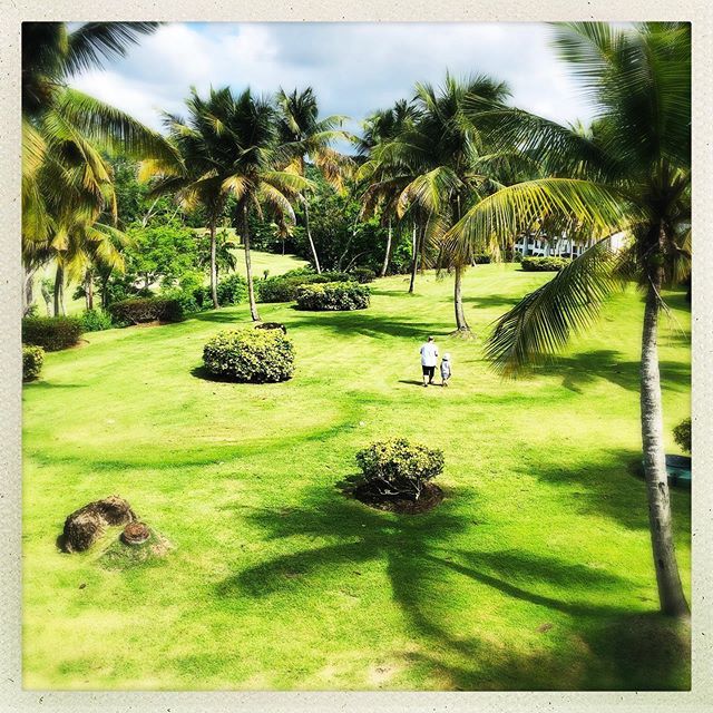 A girl and her abuelo ❤️❤️❤️
•
•
•

#golfkids #riomar #grandparents #momlife #motherhood #thisis5 ift.tt/33mcAQ0