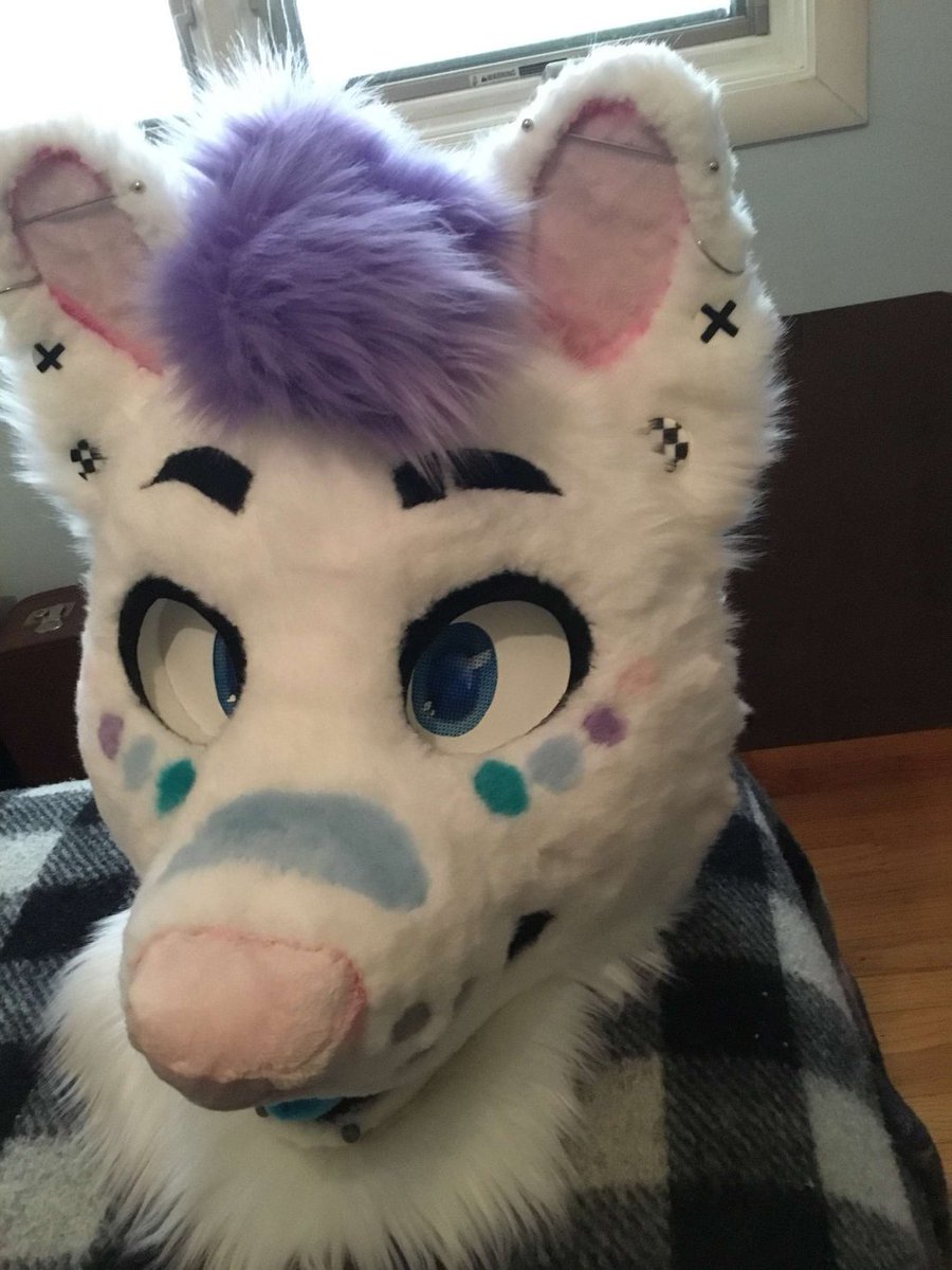 New #fursuit review:
[YES] Pip the Malamute Head by Grove City Suits!

Read it here:
fursuitreview.com/blog/2019/07/3…