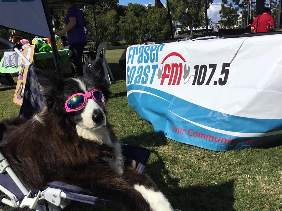 DesleyDixon's tweet photo. Grooves Radio Show on Fraser Coast FM 107.5 community radio now - here's the link to the playlist https://t.co/9buS0S7ssc https://t.co/4kJREftAzN