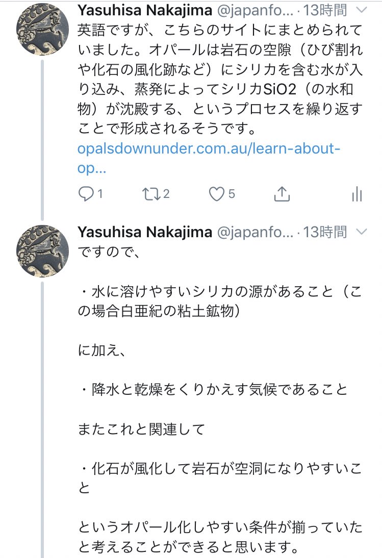 تويتر 中島保寿 古生物学者 東京都市大学 على تويتر オーストラリアではオパール化した恐竜の歯とか首長竜の骨とかが発見されていますが 私が推したいのはこれ オパール化したカメ Spoochelys Ormondea 現生のタテクビ型 潜頸類 とヨコクビ型 曲頸類 が