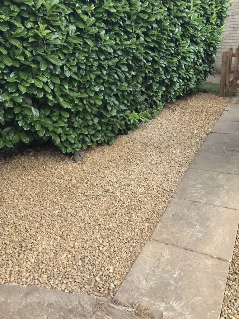 Garden transformation in progress #newhome