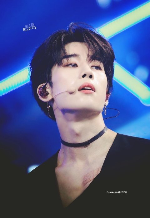 hhollopp's tweet photo. + 추가 제보 https://t.co/7TbUXdmKw5