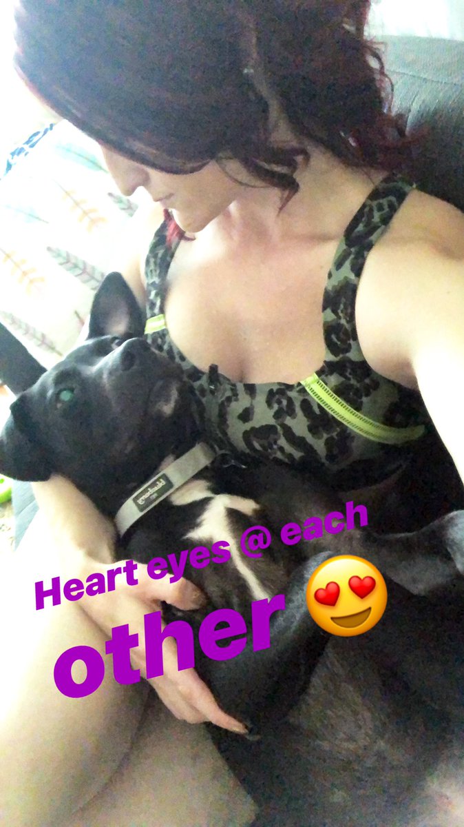 steph_palein's tweet image. Sunday I am combining two of my favorite things for my 30th bday. Rescuing dogs and barre  by hosting a private class to raise money for Fitz’s alma Mater. My maniac foster fail 😍 #AdoptDontShop #barmethod