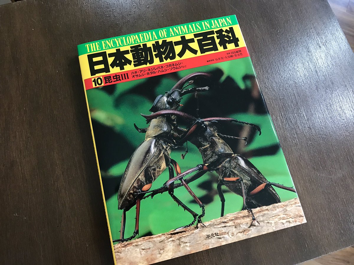 Uzivatel うみねこ博物堂 臨時休業中 通販やってます Na Twitteru 甲虫オタクの店主が全力でお勧めする本 日本動物大百科の昆虫iii その道の専門家たちが分類群ごとに分担執筆している 超豪華な内容です 写真図鑑は世にたくさんありますが こういう教科書的な
