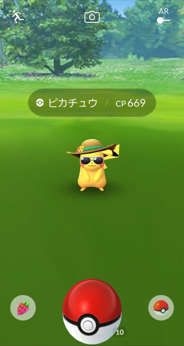 グラサンゼニガメ 復刻がないサングラスゼニガメは激レア化 みんなのポケgo みんポケ