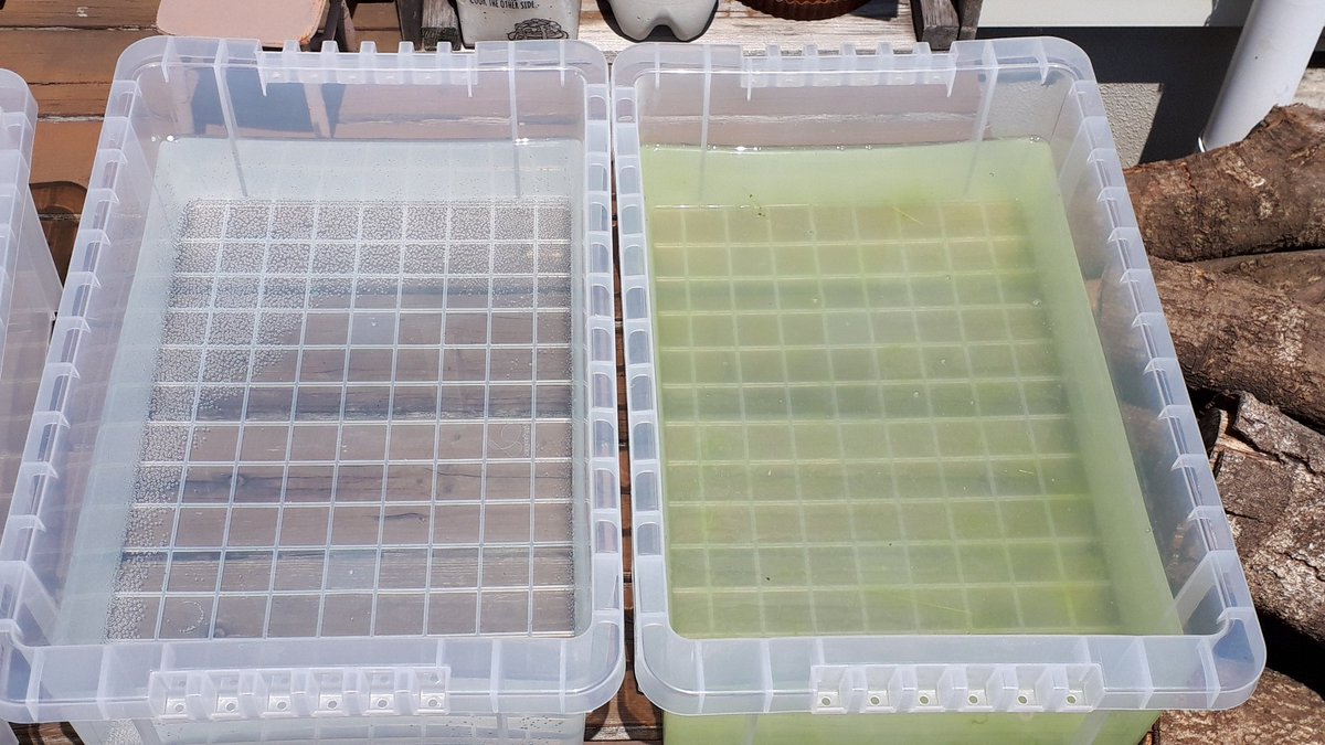 Twitter Da 青水 Etiketi