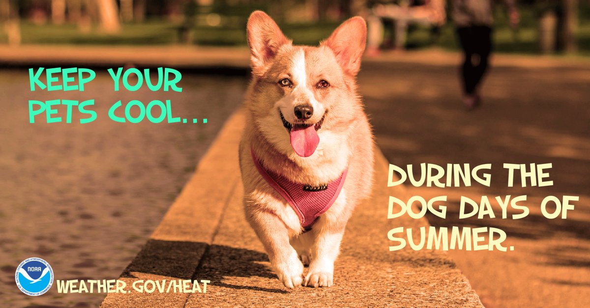 NWS Mobile on Twitter "🐾 HeatSafety Advice Test sidewalks with your hand. Asphalt gets VERY