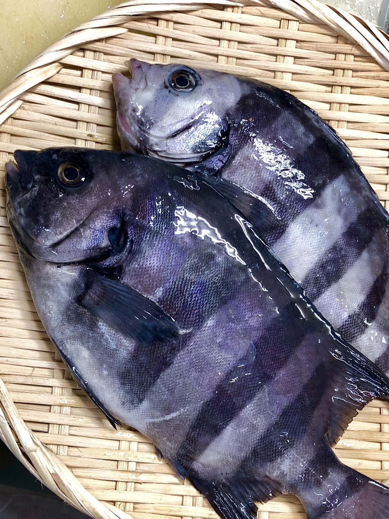刺身料理 Twitter Search Twitter
