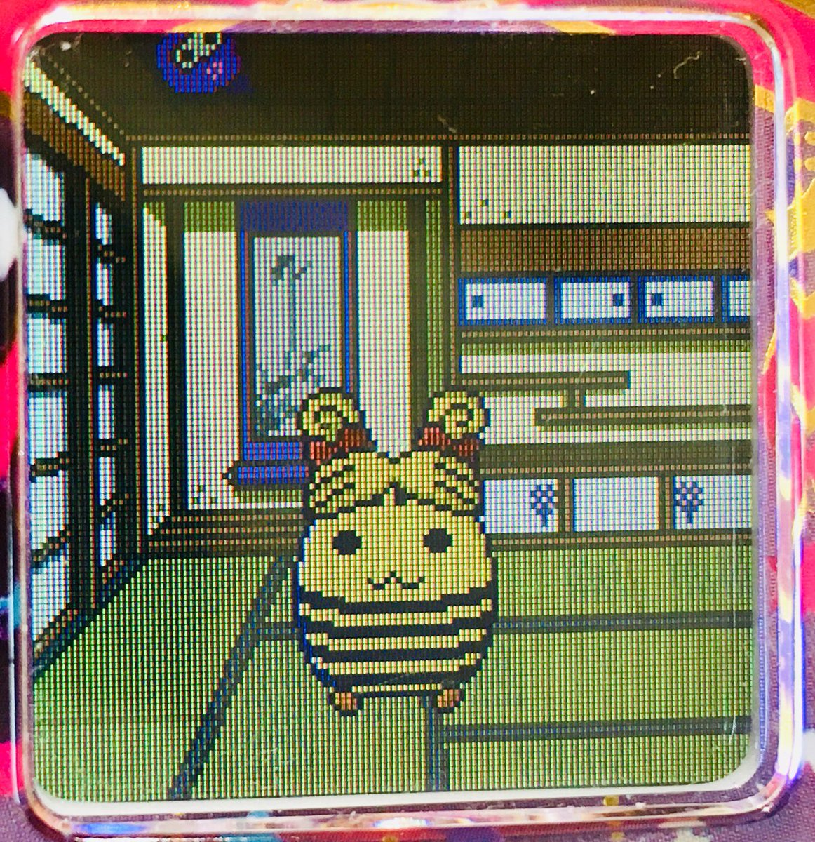 しましまっち しましまっち