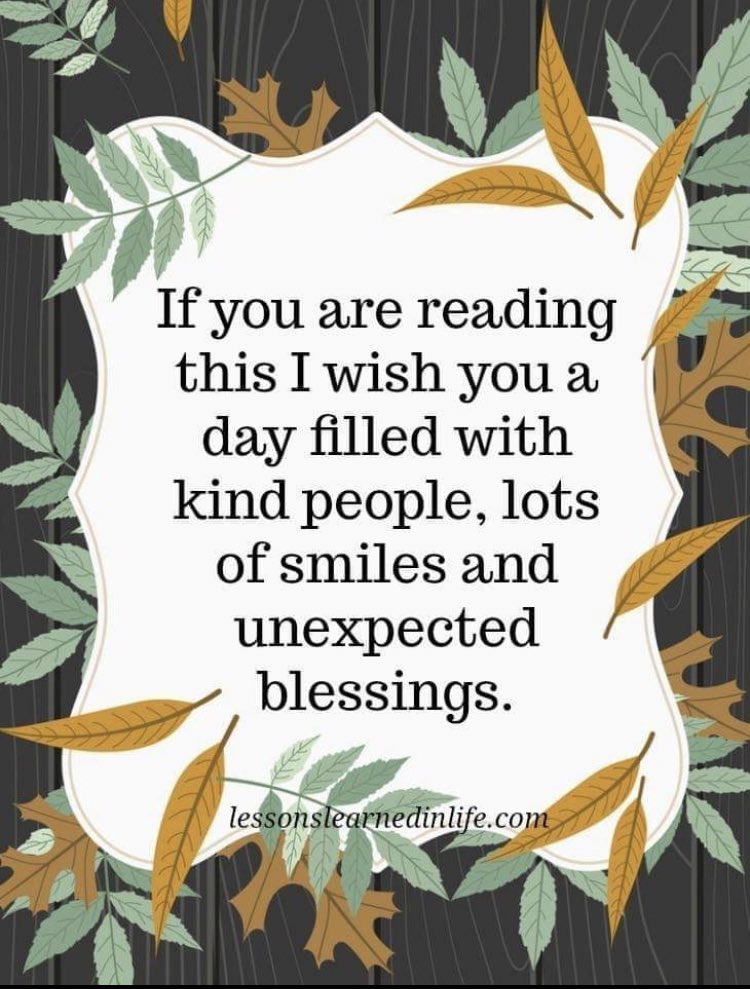 mindfulheal's tweet photo. 🙏✨ https://t.co/sbPQmLUyY9
