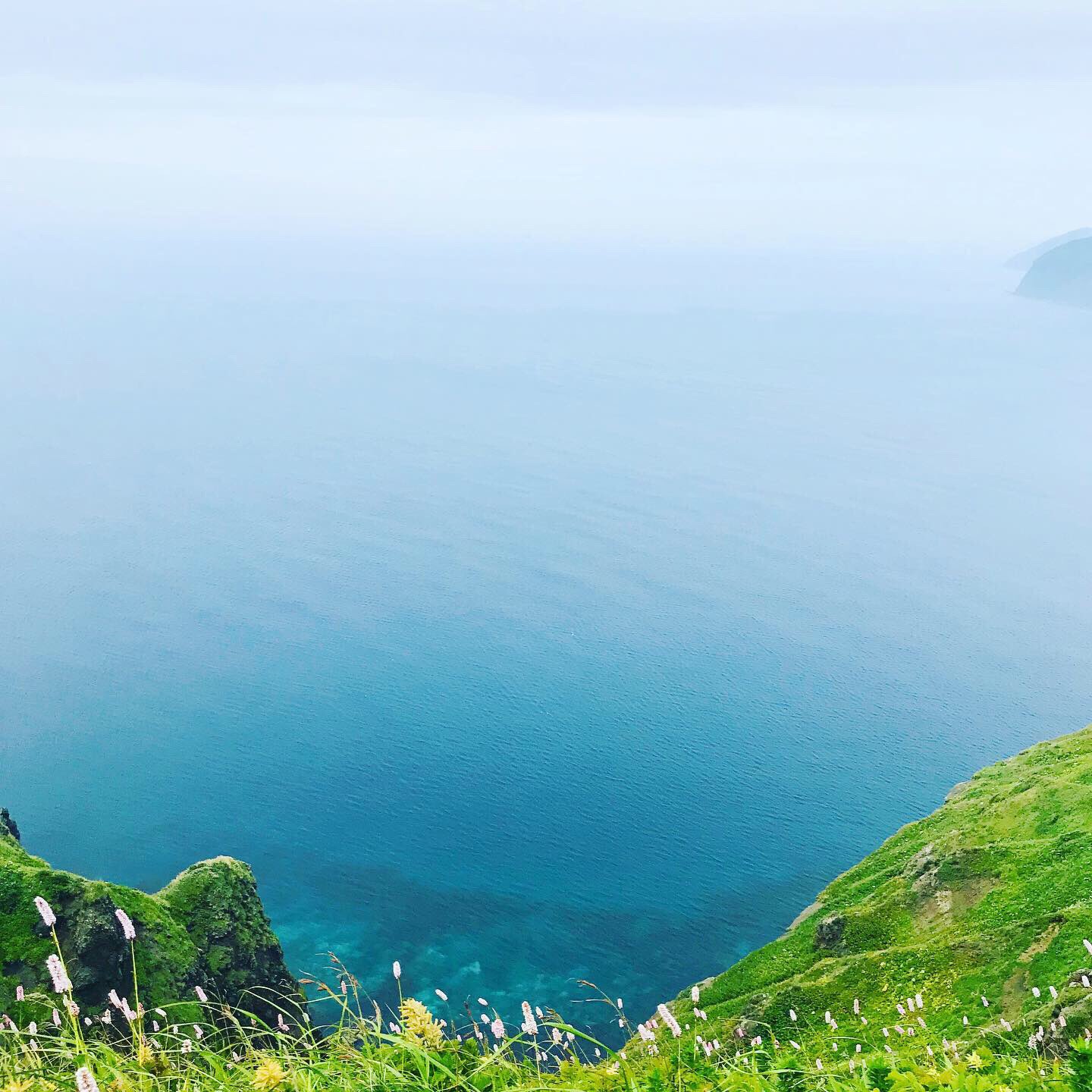 花の浮島 Twitter Search Twitter