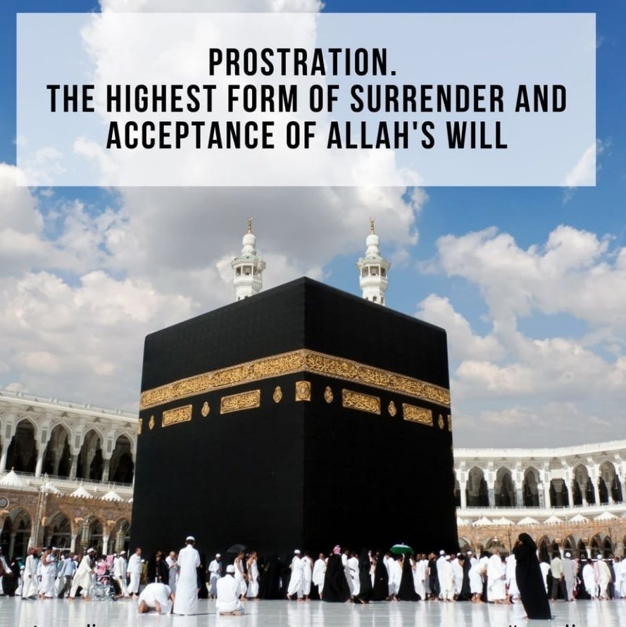 Moddrams1's tweet image. O Allah, I ask You for the good of it and seek refuge in You against its evil.