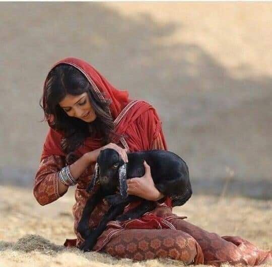 its_Zinnira's tweet photo. تم نہ سہی تمہاری یاد ہی سہی 

میں تمہارے شکل  کا ⁧بکر⁩ا خرید لائی ہوں 

@Golu__molu
🤭🤭😉🙃😂😂😂😂😂 https://t.co/IDh6qvVk7l