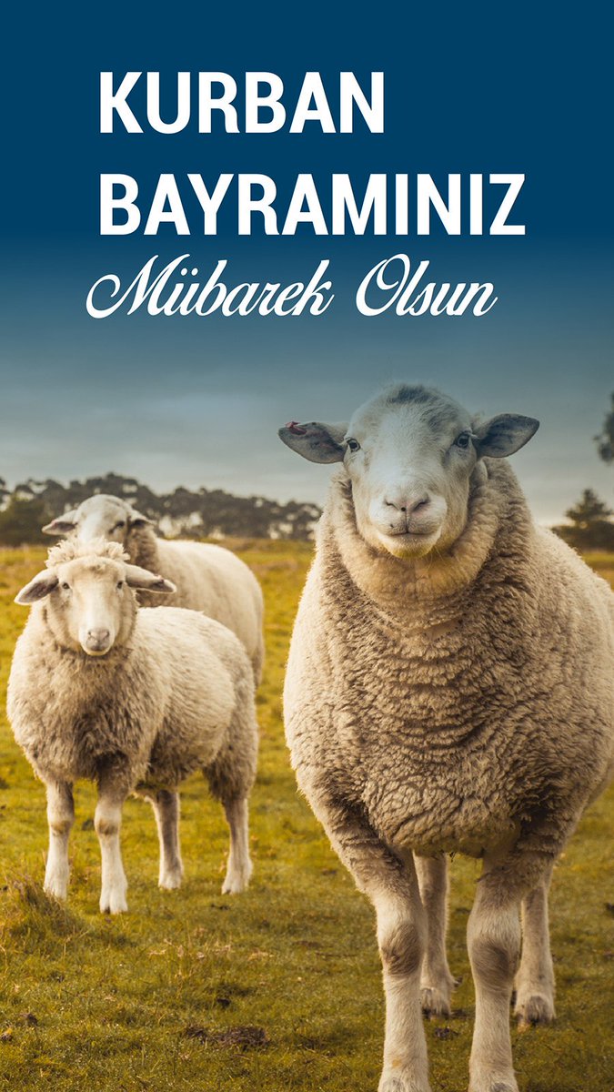 Hediyepaketim.com ekibi olarak Kurban Bayramınızı en içten dileklerimizle kutlarız. Bu bayramın sizlere ve sevdiklerinize sağlık, huzur, mutluluk, kazanç, evlerinize bereket getirmesini ve iyi bir bayram geçirmenizi dileriz.
#hediye #kurbanbayramı