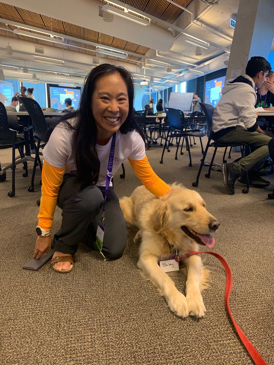 AIBNatUQ's tweet photo. Never fear, Bailey the #hackathon dog is here. He’s just arrived and is providing some tail wags and encouragement to all our groups #stemcellhack #dog #dogsofUQ #UQ https://t.co/Gl2ZHqZAya