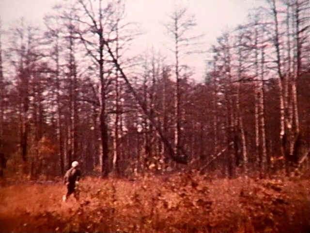 aHEMandias's tweet photo. @The_War_TARDIS @maggicarter @_esaliba @RadChick4Cast @turnbolt11 Oh, yes. Both radioisotopes & toxins bioaccumulated by trees will be remobilized by wildfires in years to come. Sort of like βthe gift that keeps on givingβ of #Chernobylβs & #Fukushimaβs β#RedForestsβ.
β #ahemENVIRO https://t.co/J8ownq3K6N