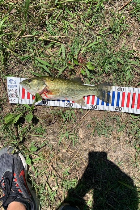 ジークラックのイモリッパー60のインプレ情報 最適なフックサイズは ワーム部