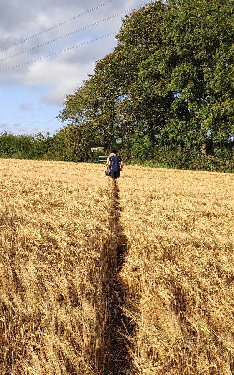 TheLaughingOT's tweet photo. Fantastic after work walk with Dream Team ward 14 staff. Love their motivation in everything ❤️ #dreamteam #bcuhb #practicewhattheypreach #getoutside #movewell https://t.co/4WuJobp6pN