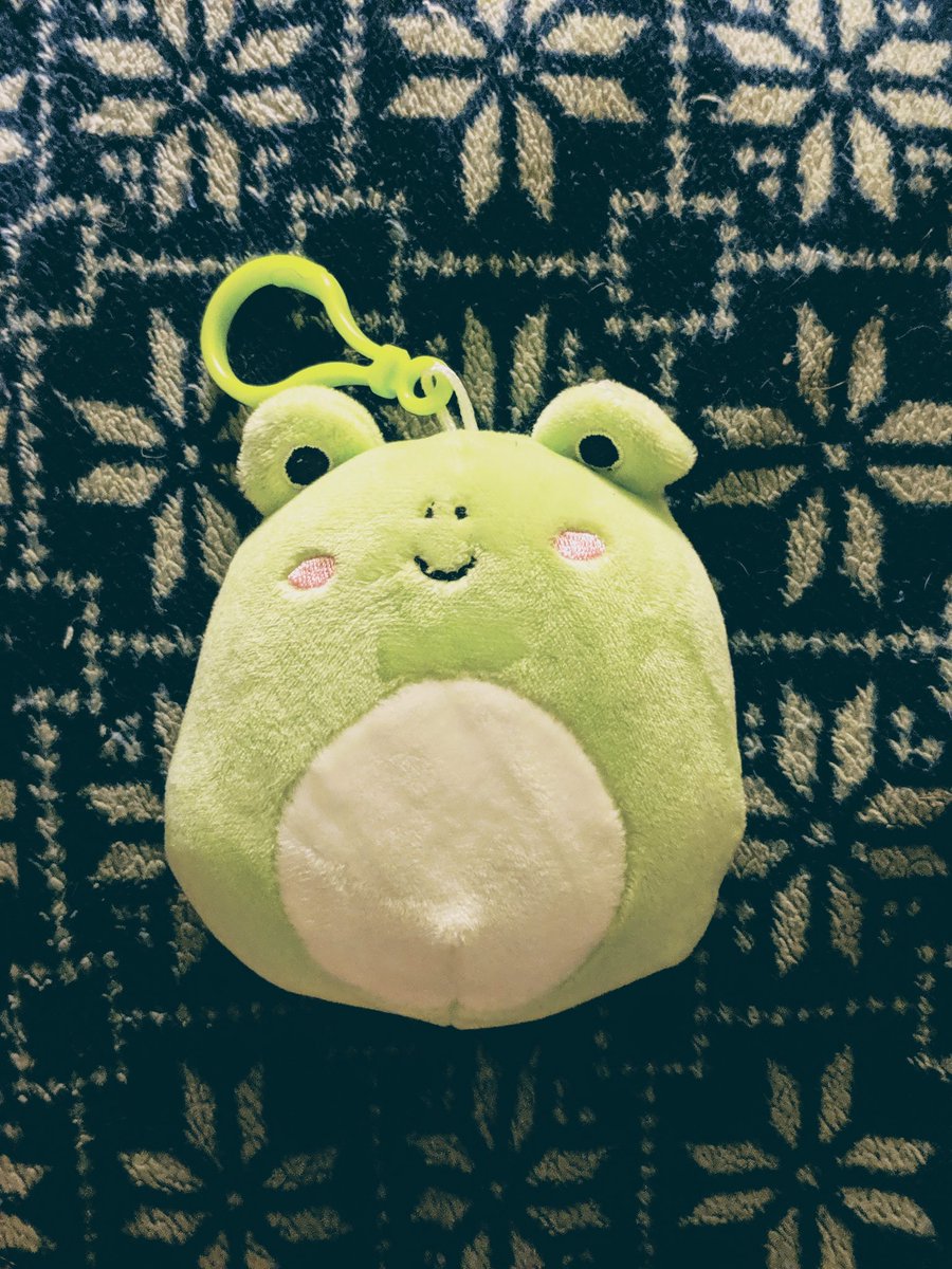 RemiMorii's tweet image. ✨What is this fat-boi✨🐸

#cutefrog #frog #frogplush