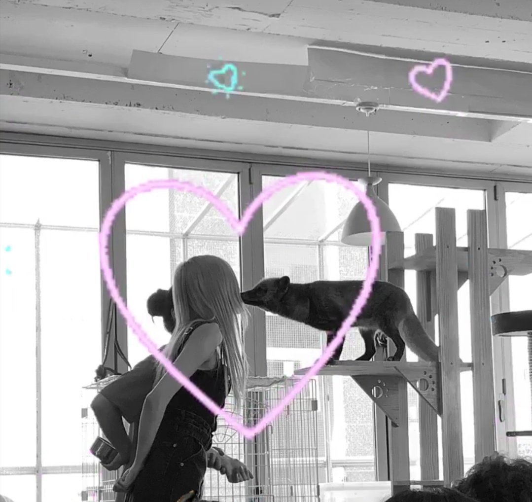 onlyonesprivat's tweet photo. When you're love one kissed another. 😏 https://t.co/wNwgKo4NiV
