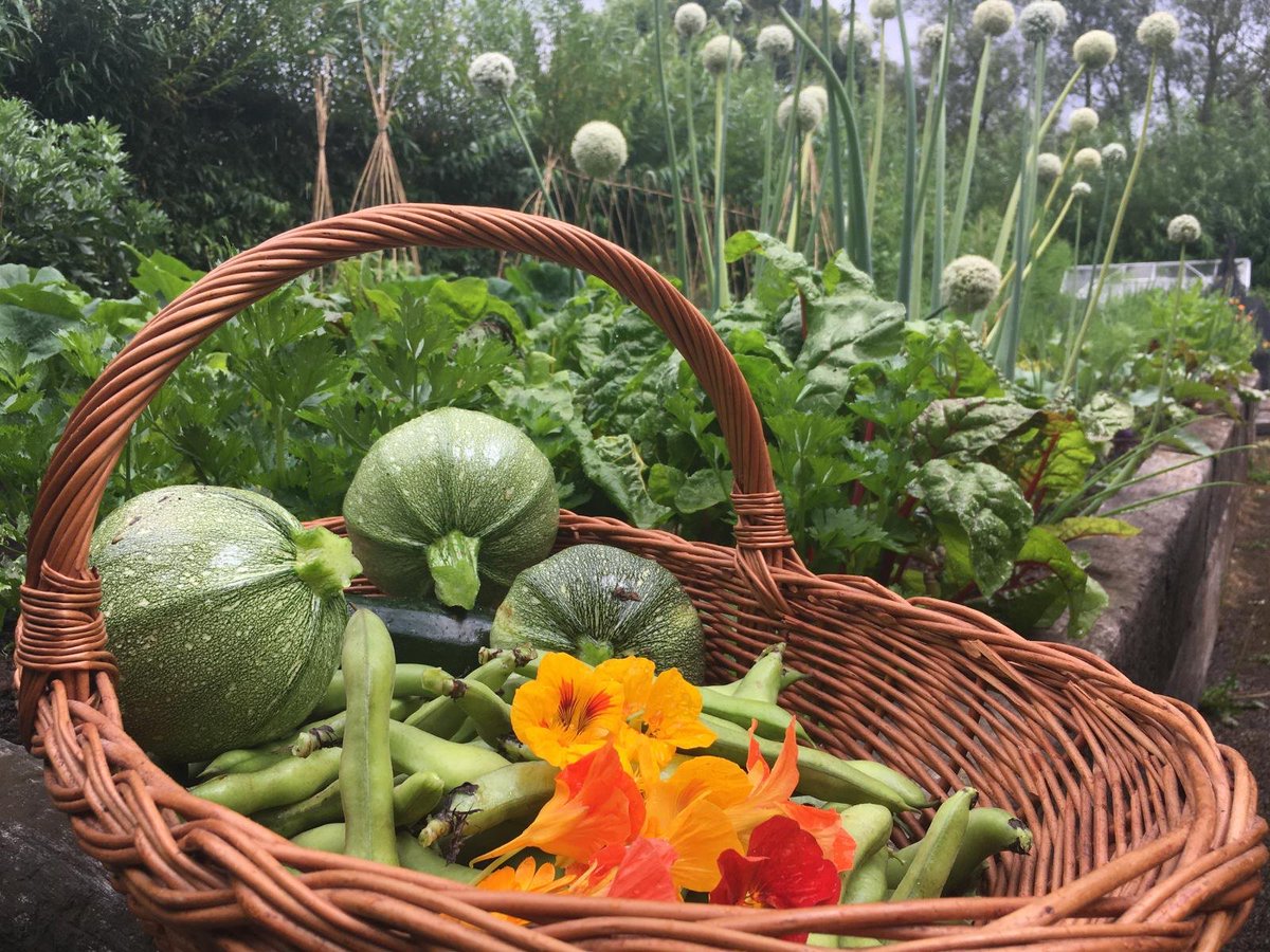 Maryon Park Community Garden will be celebrating the Urban Harvest with a drop-in 'Open Day' on Saturday 21st September from 10.0 am to 4.0pm. There will be a plant & woodcraft sale plus jams & chutney for sale. Refreshments will be available and vegetarian pizzas from the oven.