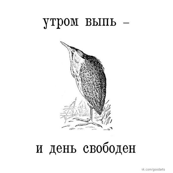 Птица выпь крик. Голос выпи. Среда обитания большой выпи. Голос выпи. Голос выпи.