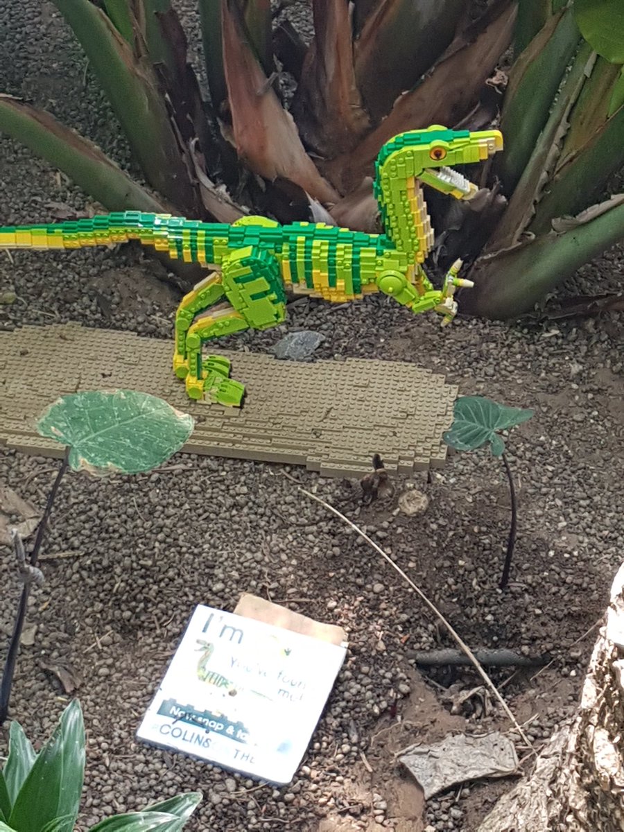 ianaddison's tweet photo. Found a Lego dinosaur that had escaped at @Marwellwildlife #colinsontherun https://t.co/vPRbAtl69m