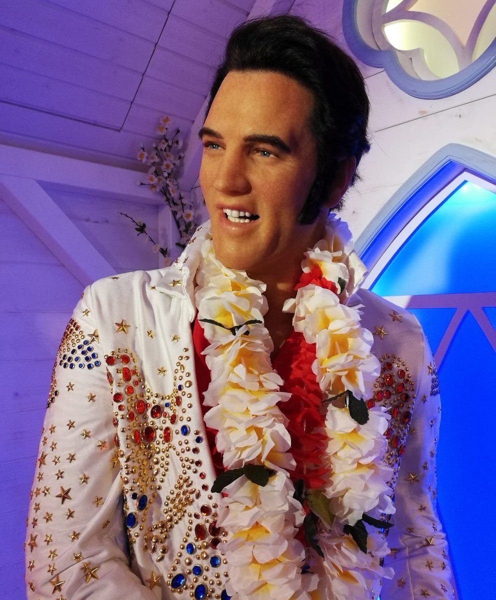 Bist du auch im Urlaubs-Feeling? 🌺🍹 #elvispresley #elvis #hawaii #holiday #wien #urlaub