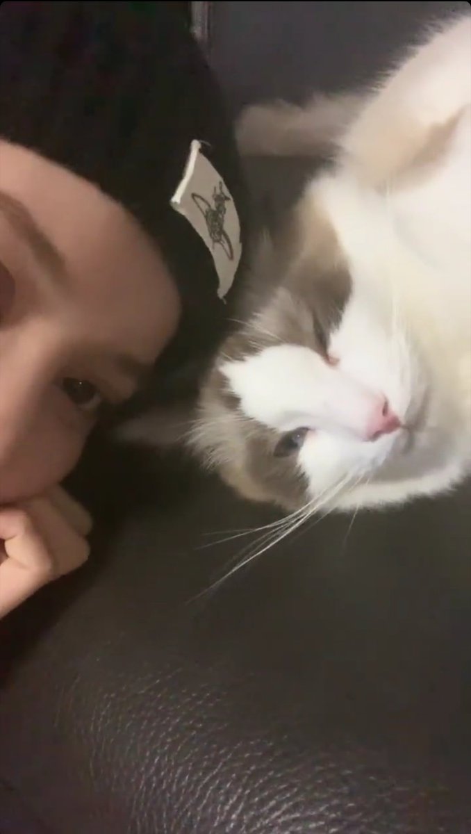 On Saturday we cuddle and do nothing else for the rest of the day