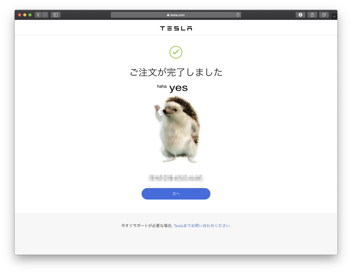 めちゃ緊張してこんなに高い買い物をポチったのにハリネズミに haha