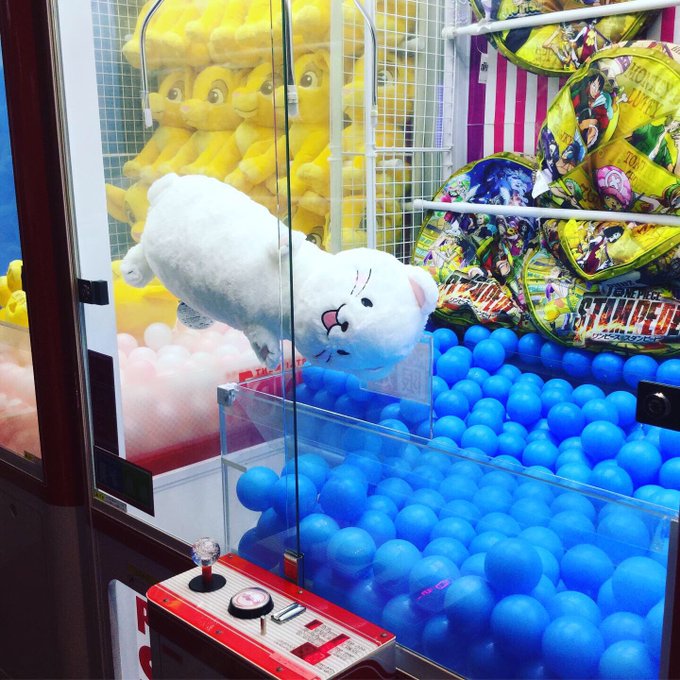 注目 画像ツイート オコジョとヤマネ 4ページ目 アニメレーダー