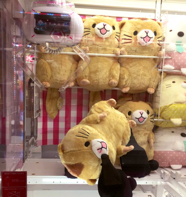 注目 画像ツイート オコジョとヤマネ 4ページ目 アニメレーダー